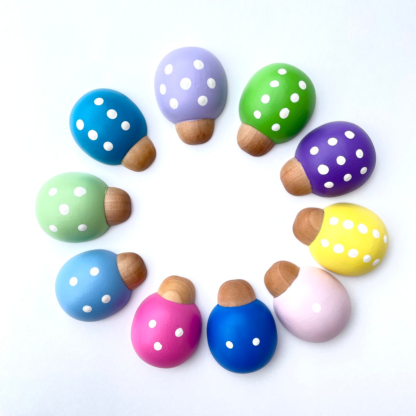 Rainbow Counting Beetles