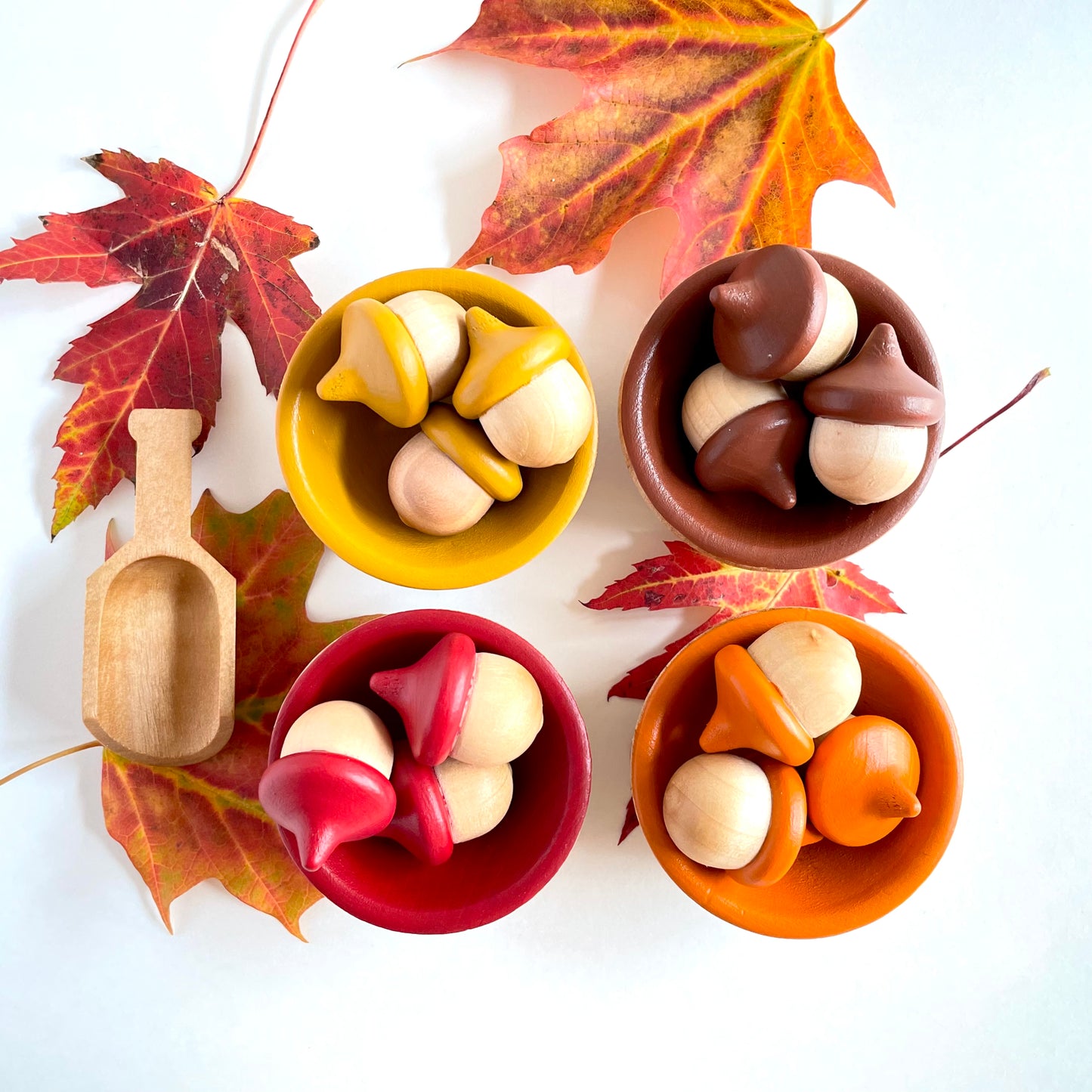 Acorn Sorting Set - Autumn Tones