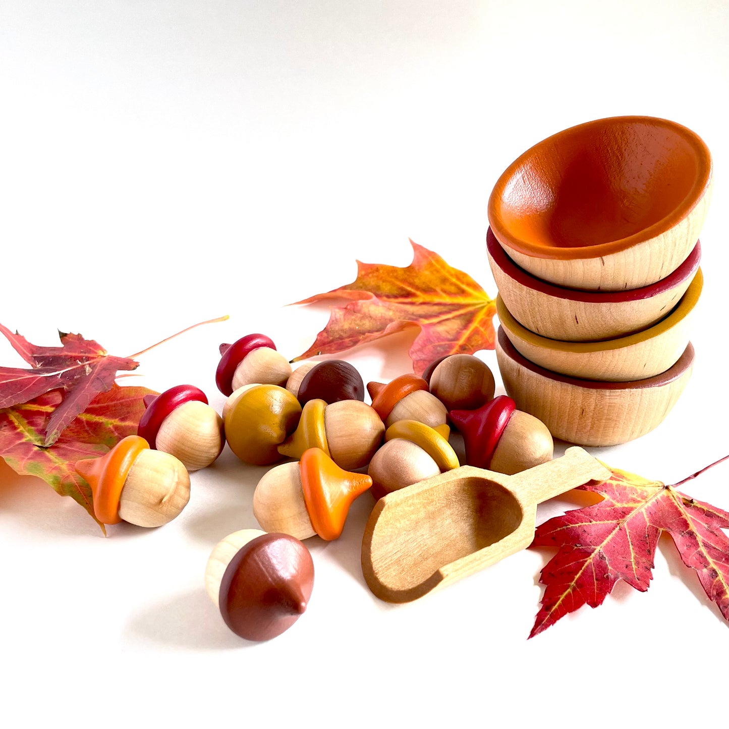 Acorn Sorting Set - Autumn Tones